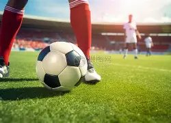 辽宁本钢再,总决赛冠军,荣耀成就,凯发K8,体育博彩,在线投注,高赔率平台,电竞赛事,真人娱乐