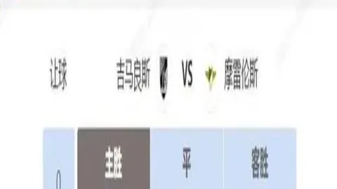 字母哥：夺冠之旅如婚姻加冕，情感共鸣升级